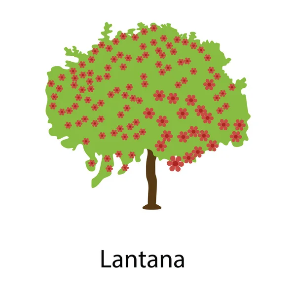 Una Bella Pianta Fiorita Icona Della Pianta Lantana — Vettoriale Stock