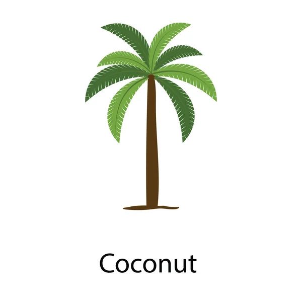 Árbol Tropical Siempreverde Icono Del Árbol Coco — Vector de stock