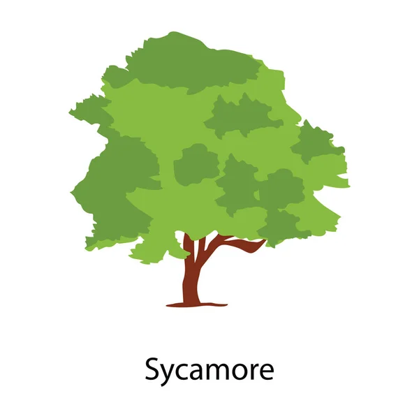 现代设计中的阴影树图标 Sycamore向量 — 图库矢量图片