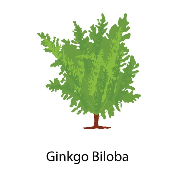 Ginkgo Biloba Strom Ikona Plochém Designu — Stockový vektor