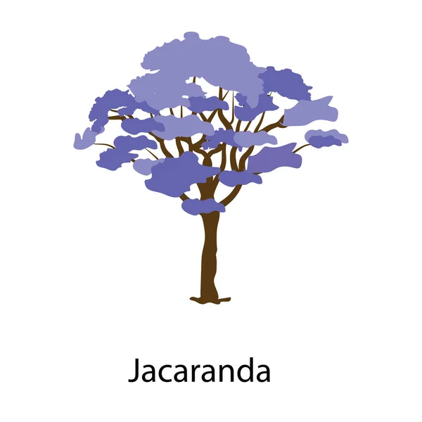 Een Plant Met Blauwe Trompetvormige Bloemen Jacaranda Icoon — Stockvector