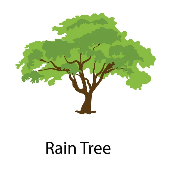 Εικόνα Δέντρου Βροχής Δέντρου Δρόμου Στο Σχεδιασμό Διανυσμάτων — Διανυσματικό Αρχείο