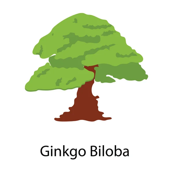 Ginkgo Biloba Boom Icoon Plat Ontwerp — Stockvector