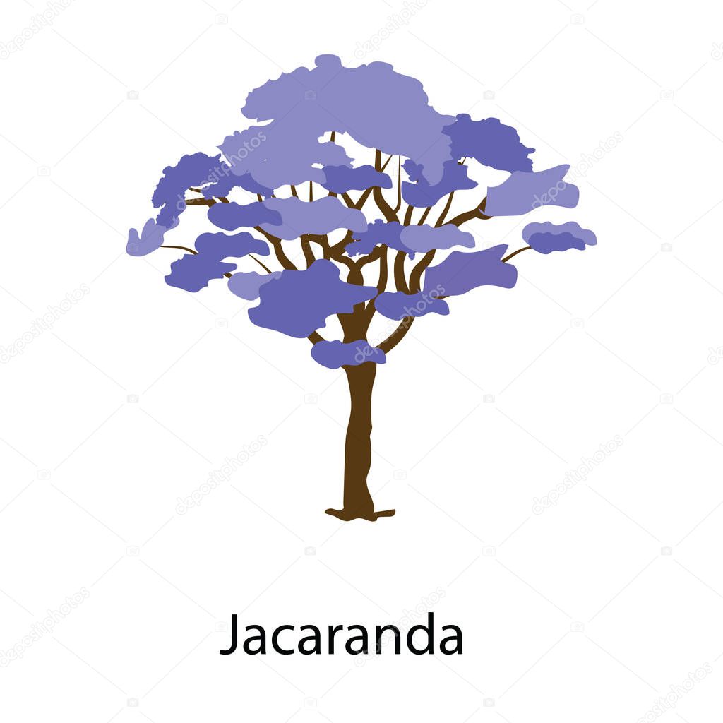A plant that has blue trumpet shaped flowers, jacaranda icon
