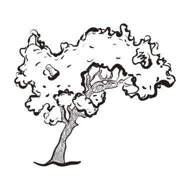 Vahşi ağacın karalama tasarımı, orman ağacı vektörü 