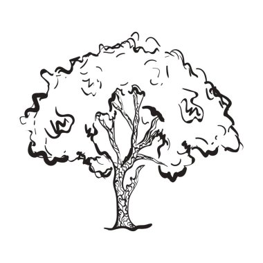 Ağaç çiziminin modern el çizimi vektörü, düzenlenebilir simge 