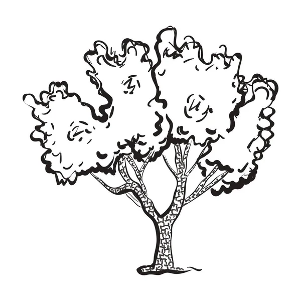 Projekt Drzewa Liściastego Wektor Drzewa Drzewnego Stylu Edytowalnym — Wektor stockowy