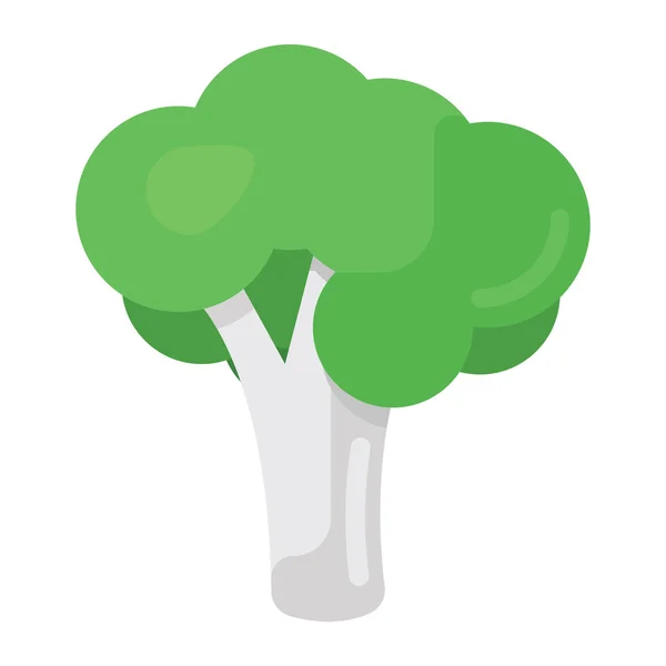 Ijzerrijke Groente Broccoli Platte Vector — Stockvector