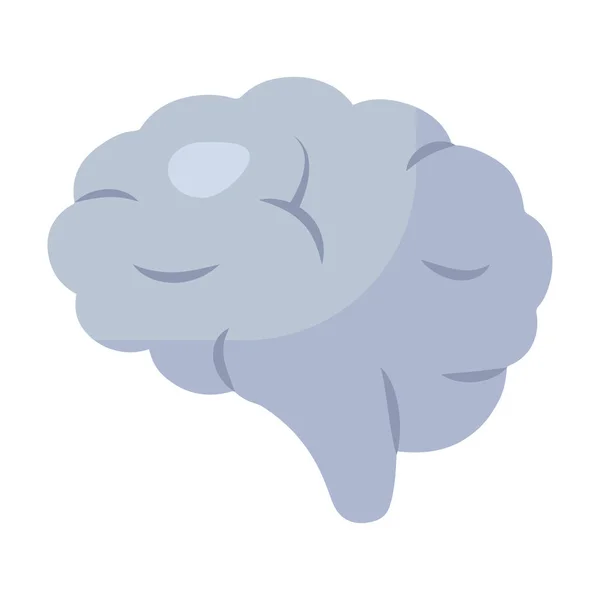 Іконопис Мозку Орган Нервової Системи Людини — стоковий вектор