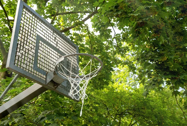 Basketball basket on a background of green trees. Sunny day and clear blue sky.