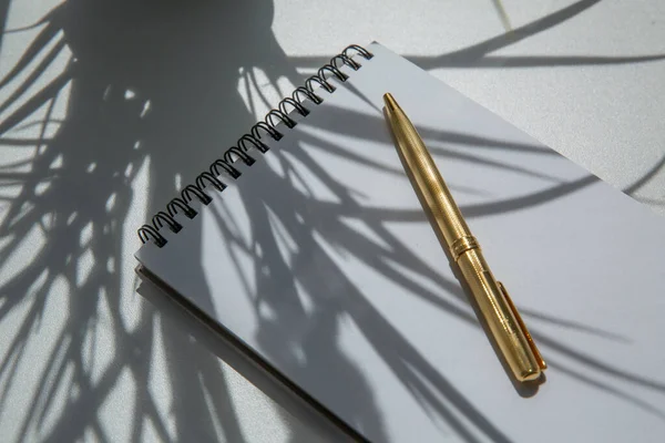 Notatnik, długopis i kwiaty cienie na jasnym tle widok z góry. plakat — Zdjęcie stockowe