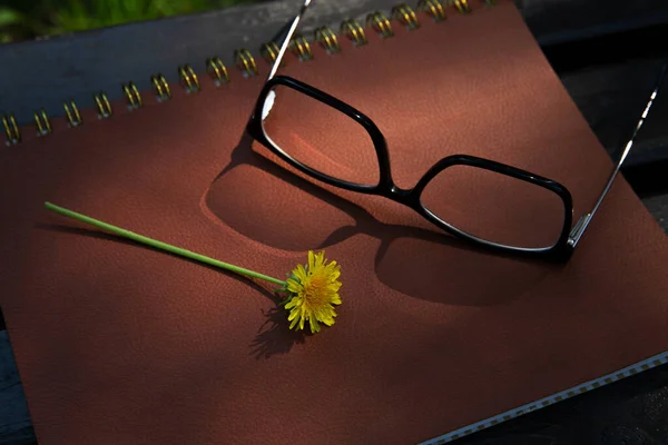 Glasses lie and a dandelion lie on a leather notebook on a park bench — Stock Photo, Image