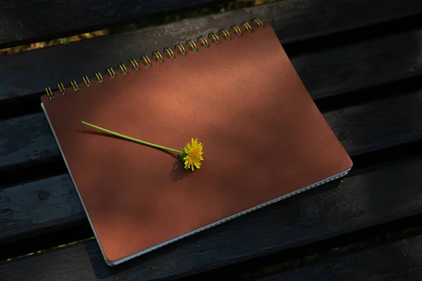 Dandelion leży na skórzanym notatniku na ławce w parku — Zdjęcie stockowe