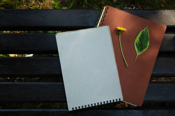 Zielony liść i mniszek lekarski leżą na notatniku na ławce w parku — Zdjęcie stockowe