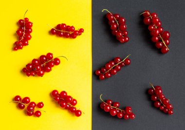 Parlak güneş ışığında sarı ve siyah arkaplanda olgun kırmızı frenk üzümü