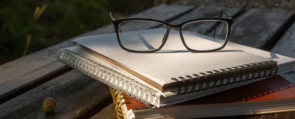 Occhiali si trovano sulla cima di una pila di libri con un taccuino su una panchina nel parco — Foto Stock