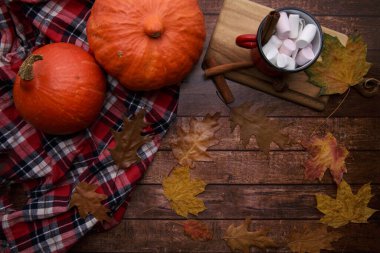 İki balkabağı ekose bir gömleğin üzerinde bir kupa marşmelovlu kakaonun yanında yatıyor.