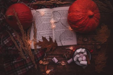 Kitap ve balkabakları bir fincan kakao ve marşmelovla masanın üzerinde yatıyor.