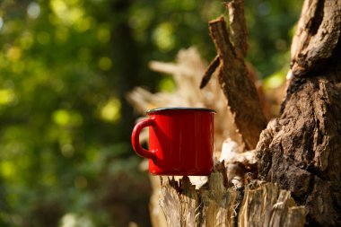 Ormandaki bir kütüğün üzerinde kırmızı metal bir kupa durur ya da ağaçların gölgesinde park eder. 