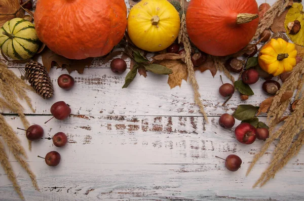 秋天的作曲，南瓜、栗子和落叶放在白桌上. — 图库照片