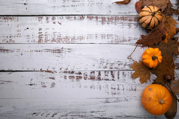 Eski bir masanın üzerinde balkabaklarıyla sonbahar kompozisyonu — Stok fotoğraf