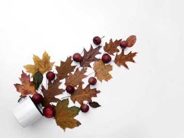 Bir kupa sarı yaprak ve elmayla sonbahar kompozisyonu