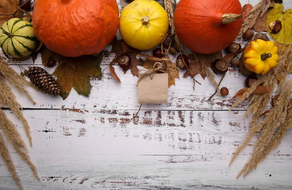 秋天的构图，叶子、南瓜和栗子，背景浅 — 图库照片