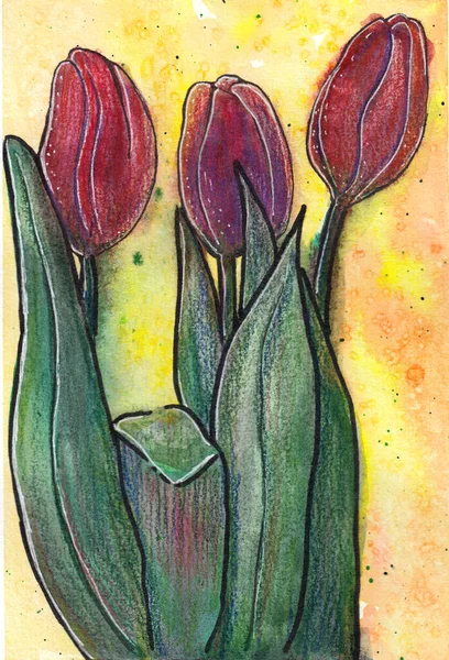 Ручной рисунок на первом акварельном фоне тюльпанов . — стоковое фото