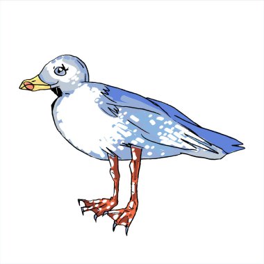 Beyaz zemin üzerinde martı vektör stok illüstrasyonu.