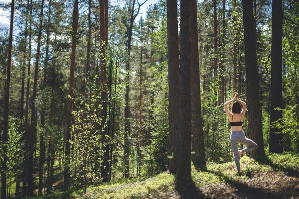 Ormanda yoga yapan bir kadın yoga ağacı pozisyonunda kütüğün üzerinde duruyor. Doğa arka planında fitness yaşam tarzı. Çam ormanında güneşli bir gün. Boşluğu kopyala 