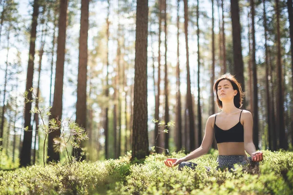 Mulher praticando ioga e meditar na floresta. estilo de vida fitness ao ar livre natureza fundo. Dia ensolarado em pinhal. espaço de cópia — Fotografia de Stock