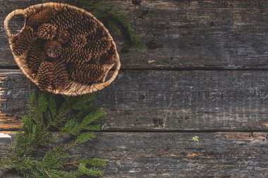 Sonbahar orman hasadı, köknar kozalağı ve noel ağacının dalı çerçeve kavramı arka plan, kırsal ahşap masa yüzeyinin üst görünümü. Boşluğu kopyala