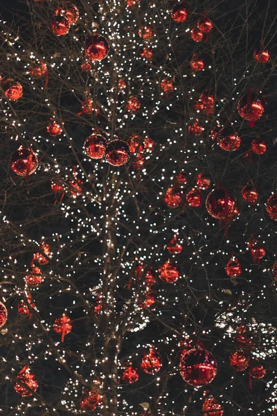 Arbre sans feuilles décorées de lumières déconcentrées et de boules rouges. sombre nouvelle année fond — Photo