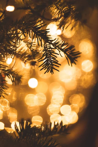 Altın rengi ışıklarla ve ladin dalının siluetiyle Noel ağacı. Yeni yıl arka planında metin için boşluk bırakıldı