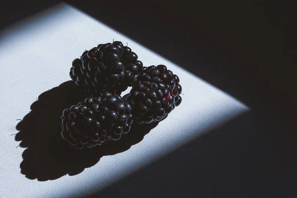 Taze böğürtlen ve gölgeli koyu beyaz arka plan. kontrastlı Fruitf Flat lay, üst görünüm. Boşluğu kopyala