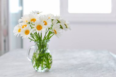 Şeffaf cam vazodaki beyaz papatya çiçekleri beyaz iç fotokopi alanındaki açık gri masanın üzerinde. Bahar mevsimi havası. Güzel fotoğraf.