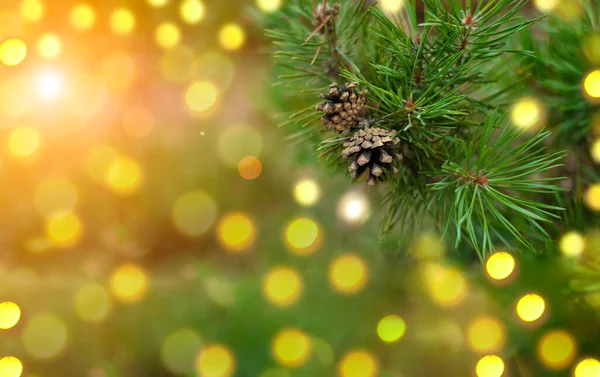 Cartão Árvore Natal Cones Pinho Árvore Abeto Com Belas Luzes — Fotografia de Stock
