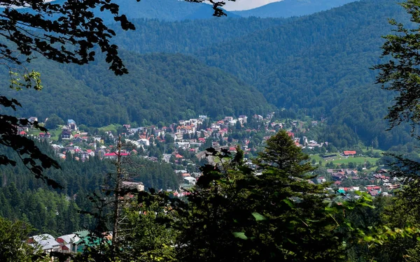 Busteni, Prahova County, Romanya 'nın yaz panoramik manzarası