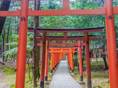 Japonya, Kashihara - 12 Nisan 2017: Kırmızı Tori Kashihara Gates tapınak: Nara, Japan