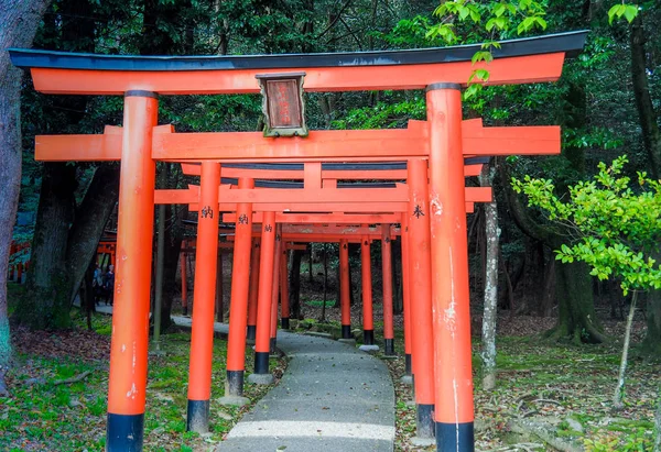 Japão Kashihara Abril 2017 Portas Tori Vermelhas Santuário Kashihara Nara — Fotografia de Stock