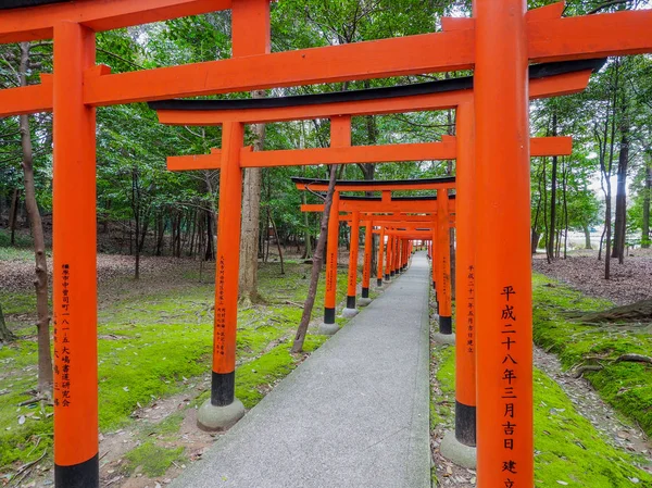 Japan Kashihara April 2017 Red Tori Gates Kashihara Shrine Nara — Stock Photo, Image