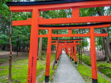 Japonya, Kashihara - 12 Nisan 2017: Kırmızı Tori Kashihara Gates tapınak: Nara, Japan