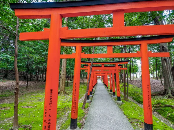 Japão Kashihara Abril 2017 Portas Tori Vermelhas Santuário Kashihara Nara — Fotografia de Stock