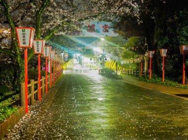 Japonya, Koriyama - 7 Nisan 2017: Gece Festivali Cherry Blossom ve Japon lambaları ile