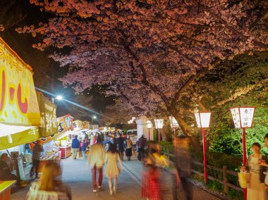 Japonya, Koriyama - 9 Nisan 2017:. İnsanlar gece Festivali Cherry Blossom altında bir Japon geleneği zevk