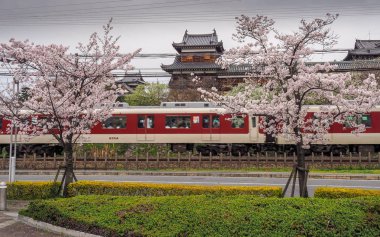 Japonya, Koriyama - 10 Nisan 2017: Nara Japonya kiraz çiçekleri ile geleneksel bir Japon kale geçen tren.