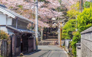 Japonya, Nara - 16 Nisan 2017: Cherry Blossom için önde gelen dar banliyö sokakta Nara Tomi tapınak girişi kaplı