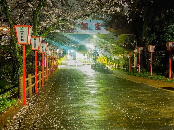 Japan Koriyama April 2017 Night Festival Cherry Blossom Japanese Lanterns — Stock Photo, Image