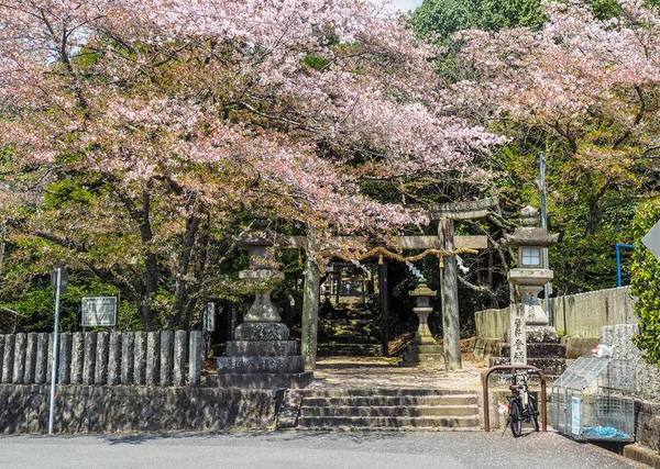 Japón Nara Abril 2017 Entrada Puerta Torii Del Santuario Tomi — Foto de Stock