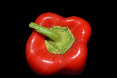 Bir kırmızı tatlı dolma biber, siyah arka planda, üretimde, yemek fotoğrafçılığında izole edilmiş.